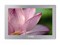 �������¹ⱦ�� P8109(8GB)��ƷͼƬ1