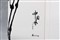 ������й����񻭲�ƷͼƬ5