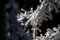 ����17-70mm F2.8-4 DC Macro OS HSM����ͼƬ2
