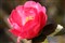 ����17-70mm F2.8-4 DC Macro OS HSM����ͼƬ6