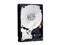 ��������1TB/7200ת/32M/����(WD10EVDS)��ƷͼƬ1