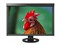 ��׿ColorEdge CG245W��ƷͼƬ1