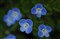 ͼ��AT-X M100 PRO D����ͼƬ1