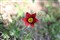 ����EF 85mm f/1.8 USM����ͼƬ7