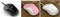 �¹�ԹԱ�100 MS-171OU��ƷͼƬ2