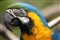 ����APO 150-500mm f/5-6.3 DG OS HSM����ͼƬ4