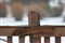 ����EF 70-200mm f/4L IS USM����ͼƬ7
