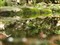 ���ְ�˹ZUIKO DIGITAL ED 50mm F2 Macro����ͼƬ8