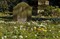 ����DA 55mm F1.4 SDM����ͼƬ3