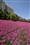 ����8-16mm F4.5-5.6 DC HSM����ͼƬ3