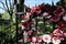 ����8-16mm F4.5-5.6 DC HSM����ͼƬ5