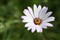����SP AF 70-200mm F2.8 Di LD [IF] MACRO����ͼƬ3