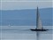 ���ְ�˹ZUIKO DIGITAL ED 90-250mm F2.8����ͼƬ1