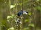 ���ְ�˹ZUIKO DIGITAL ED 90-250mm F2.8����ͼƬ3
