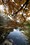 ����EF 14mm f/2.8L II USM����ͼƬ4