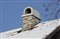 ����EF 75-300mm f/4-5.6 III USM/DC����ͼƬ4