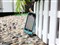 LG KV510��ƷͼƬ2