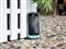 LG KV510��ƷͼƬ4