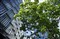 ����E 16mm f/2.8����ͼƬ6