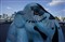 ����E 16mm f/2.8����ͼƬ7