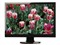 NEC192WG��ƷͼƬ2