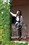 �῵AF-S 70-200mm f/2.8G ED VR II��������ͼƬ7