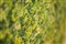 ����Sonnar T* 135mm F1.8 ZA����ͼƬ4