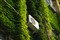 ����Sonnar T* 135mm F1.8 ZA����ͼƬ5