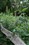 ����Distagon T* 24mm F2 ZA SSM����ͼƬ7