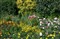 ����Distagon T* 24mm F2 ZA SSM����ͼƬ8