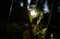 ��������˾Distagon T* 2.8/21 ZE����ͼƬ4