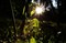 ��������˾Distagon T* 2.8/21 ZE����ͼƬ8