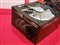 Tt���KK QFan 850(W3043)��ƷͼƬ8