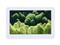 ������MK3533(8G)��ƷͼƬ1