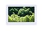 ������MK3533(8G)��ƷͼƬ7