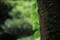 ����APO 70-200mm F2.8 EX DG OS HSM����ͼƬ4