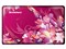 ����IdeaPad S10-3s(A)(��֮��)��ƷͼƬ1