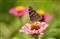 ����DT 55-200mm F4-5.6 SAM����ͼƬ5