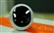 ������Ipet-i10(2G)��ƷͼƬ4