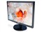 LG E1908S��ƷͼƬ1