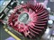 ����ɯ������HD5550 TIR3 HM512 DHVõ���3�Ų�ƷͼƬ5