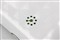 ������i531������ͼƬ