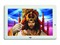 ������DPF882D(4G)��ƷͼƬ1