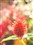 ���ְ�˹M.ZUIKO DIGITAL 14-42mm f/3.5-5.6 II����ͼƬ1