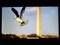 Gateway FHX2152LЧ��ͼƬ6