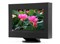 ��׿DuraVision FDF2301-3D��ƷͼƬ1