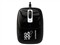 �¹�ԹԱ�110(MS-207OU)��ƷͼƬ1