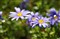 ����DA 18-135mm f/3.5-5.6 ED AL [IF] DC WR����ͼƬ6