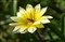 ����DA 18-135mm f/3.5-5.6 ED AL [IF] DC WR����ͼƬ8