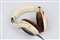 ɭ������HD598��ƷͼƬ1